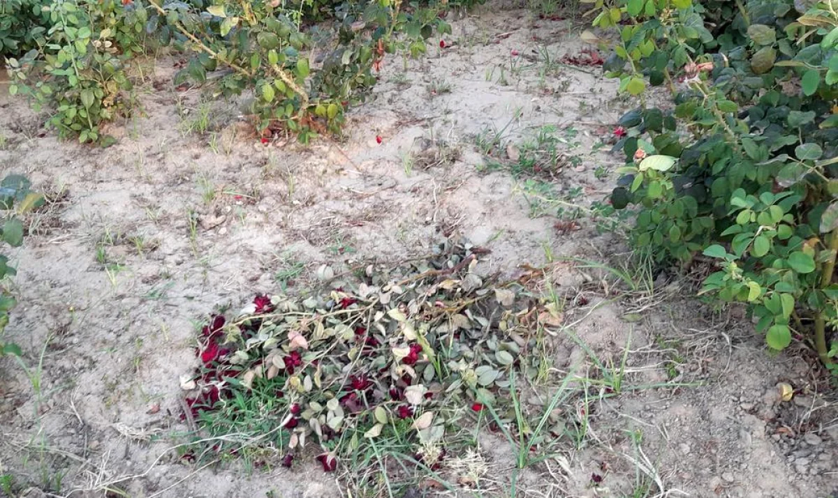 Фото жителей 5 микрорайона