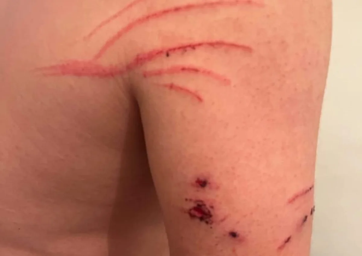 Фото пользователя Лада.kz