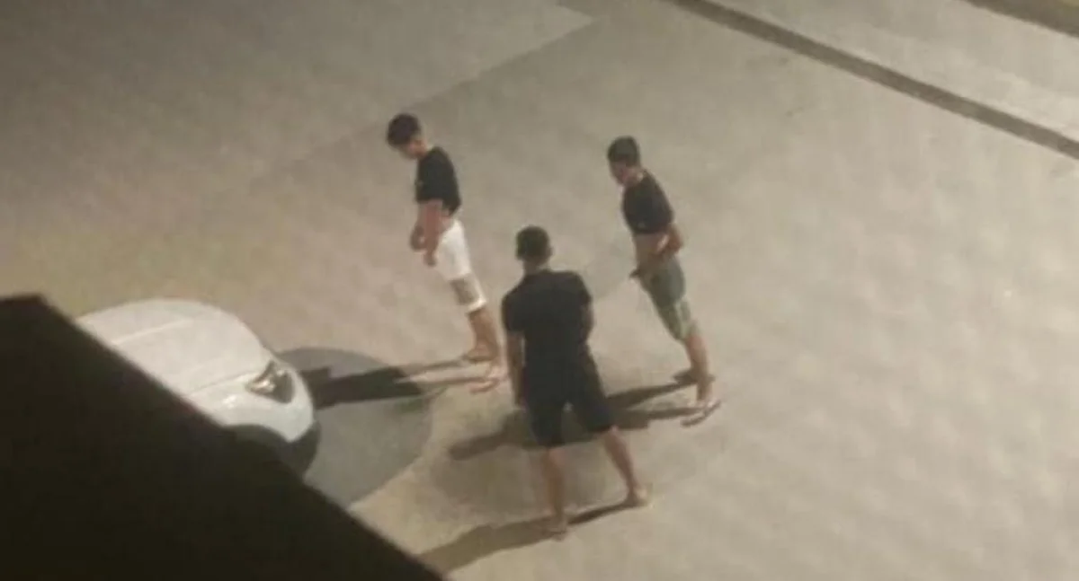 Скрин видео