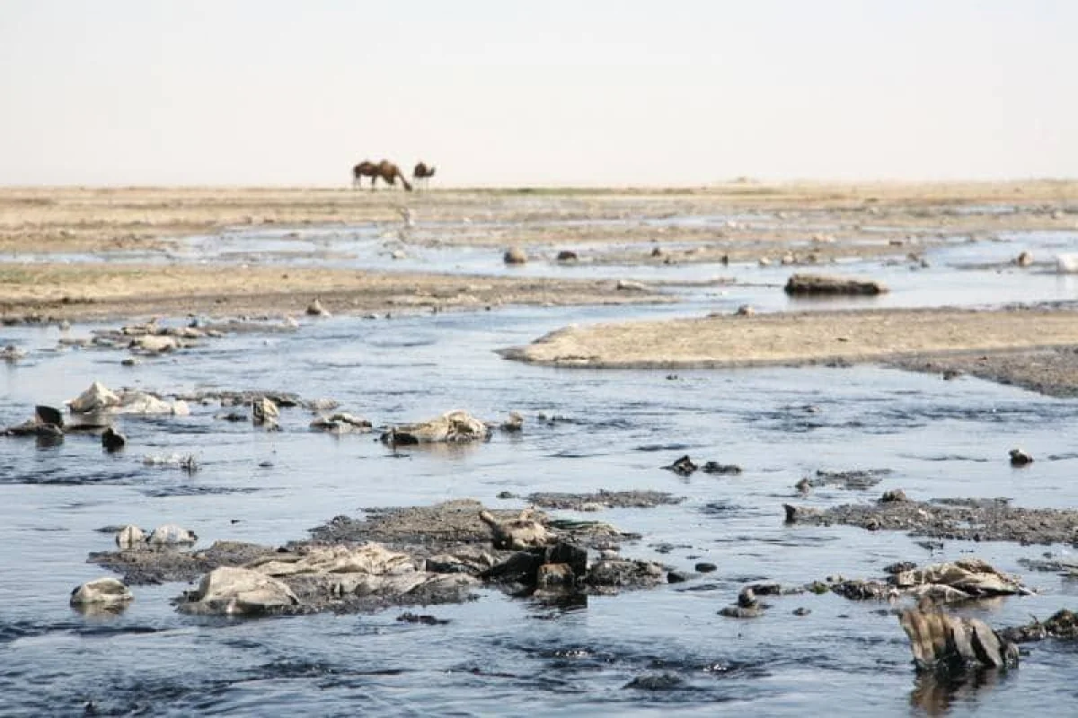 Фото предоставли в ЦОК Мангистауской области
