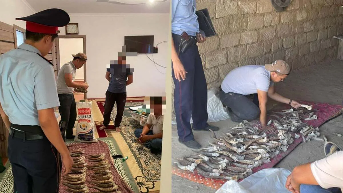 Фото пресс-службы ведомства