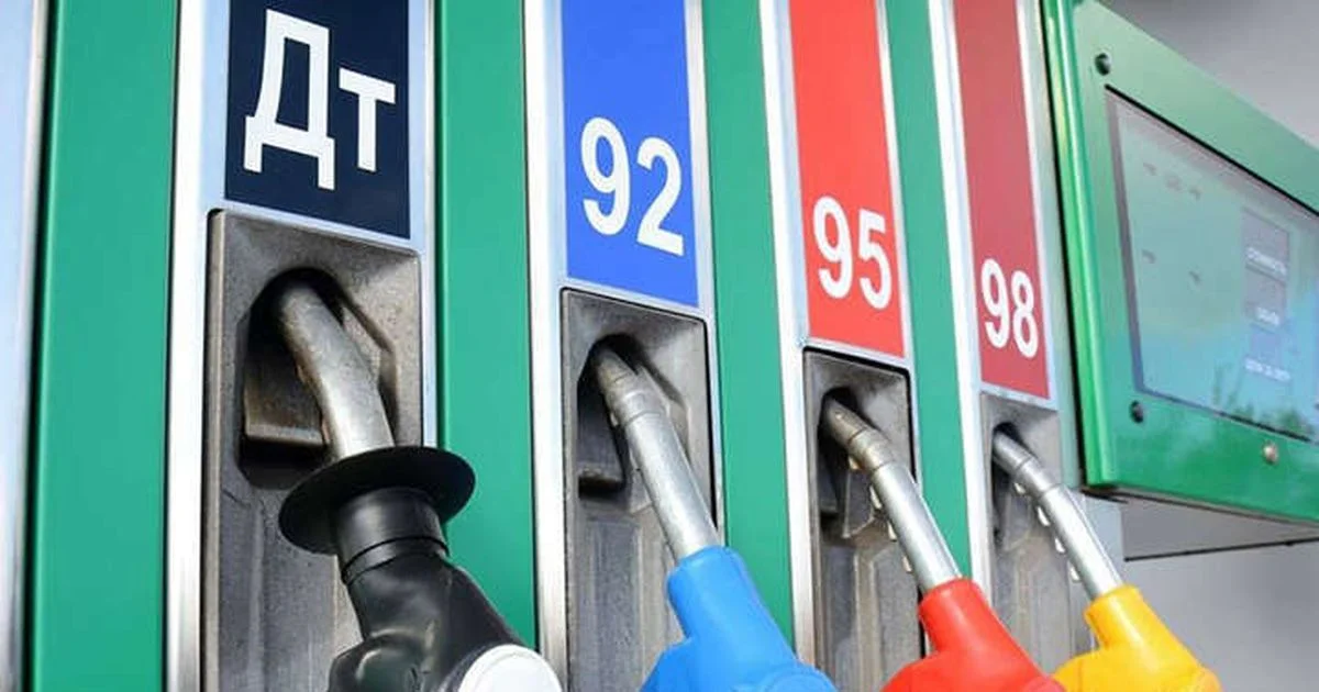 Фото взято из открытого источника