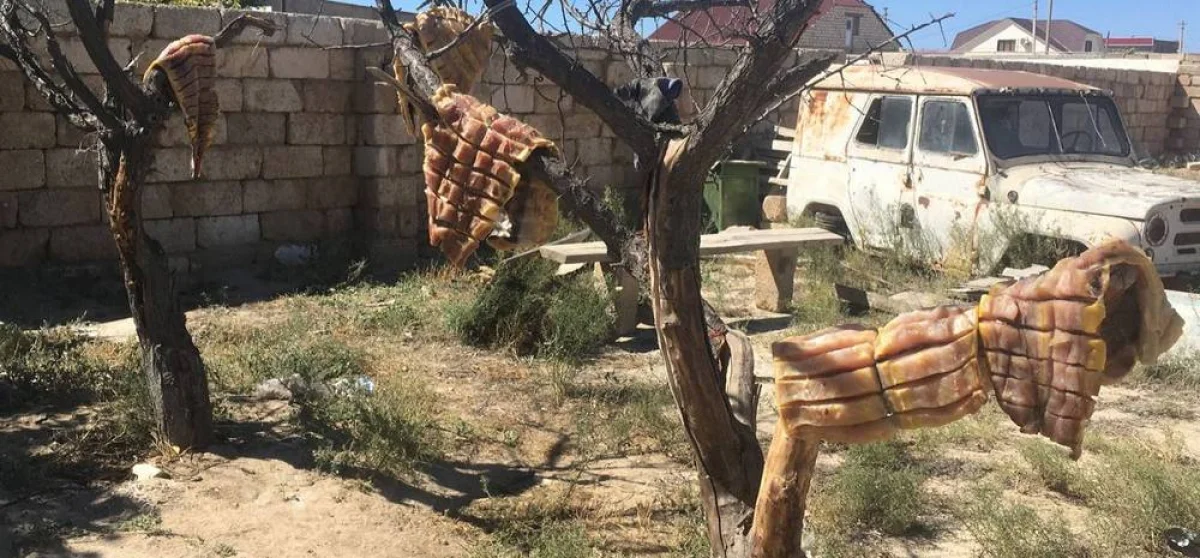 Браконьерский улов. Фото предоставлено пресс-центром ДПС КНБ РК