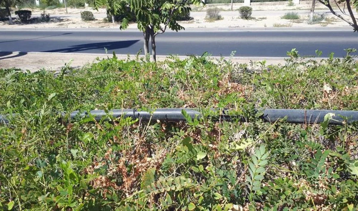 Фото местной жительницы Айгерим