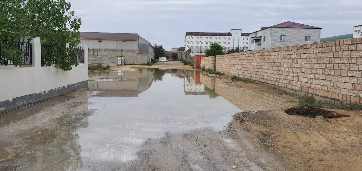 Фото пользователя Лада.kz