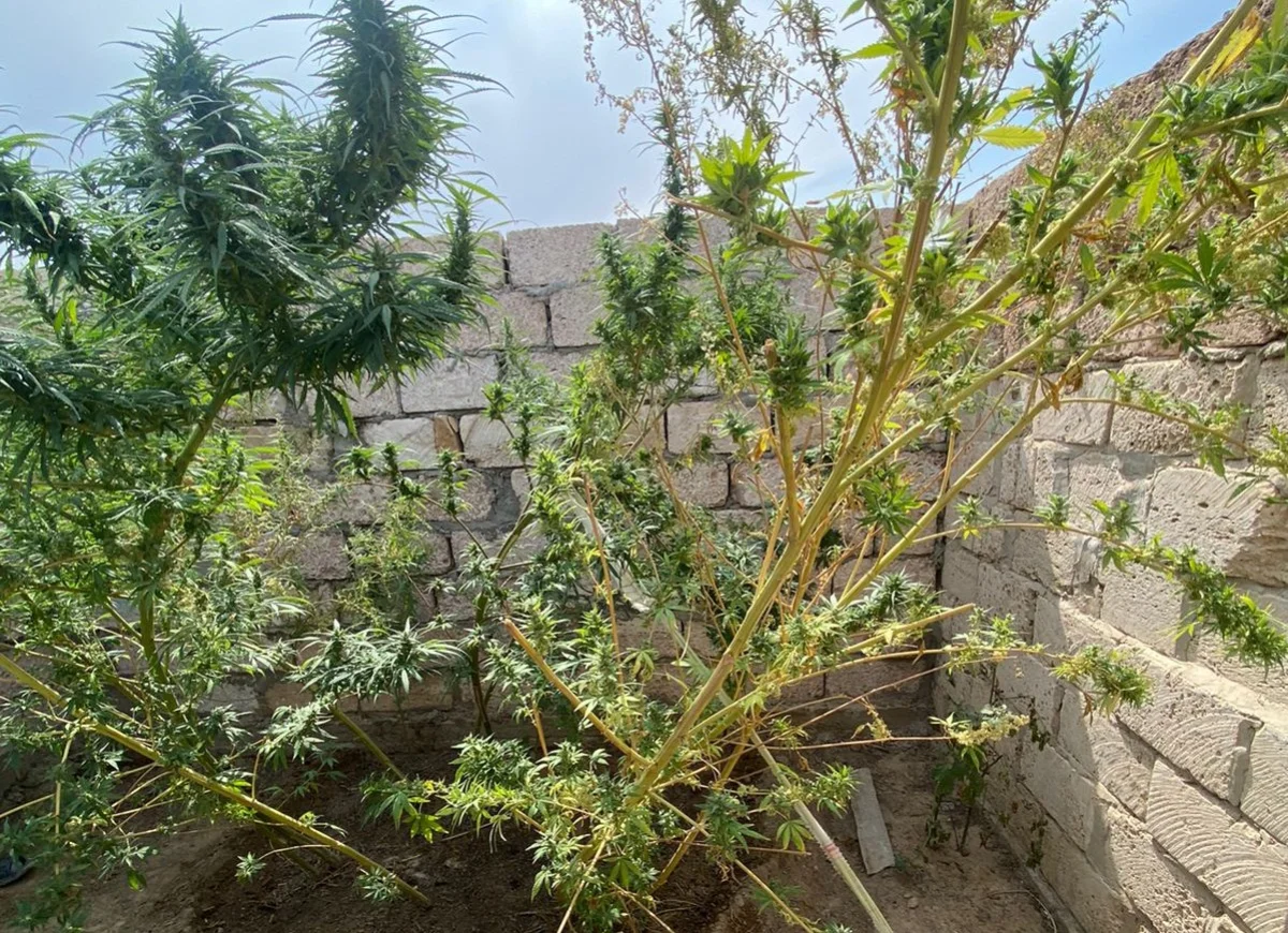 Фото департамента полиции Мангистауской области