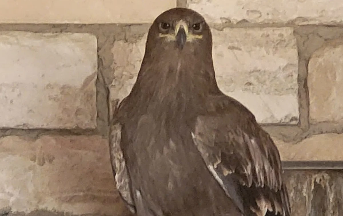 Фото пресс-службы ведомства