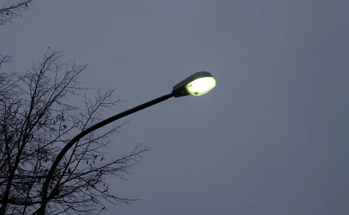 Фото из доступных источников