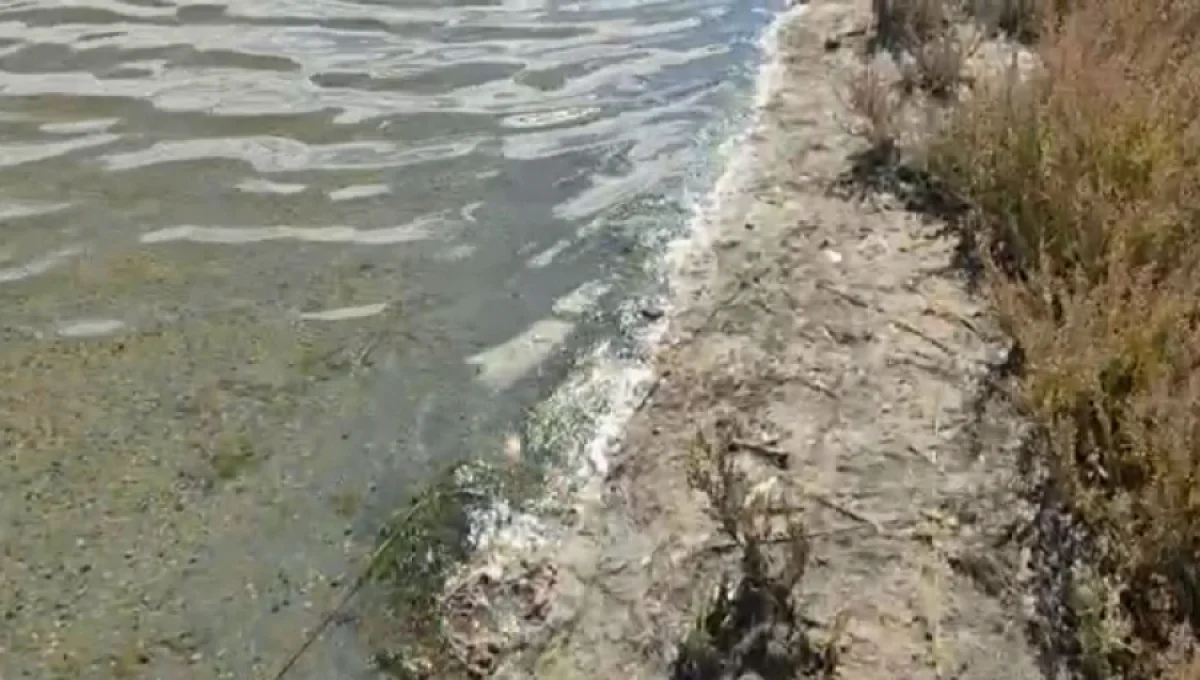 Кадр с видеоролика