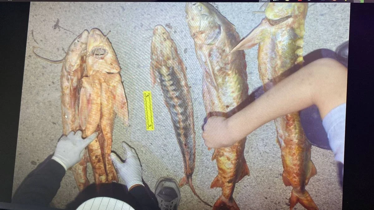 Фото департамента полиции Мангистауской области