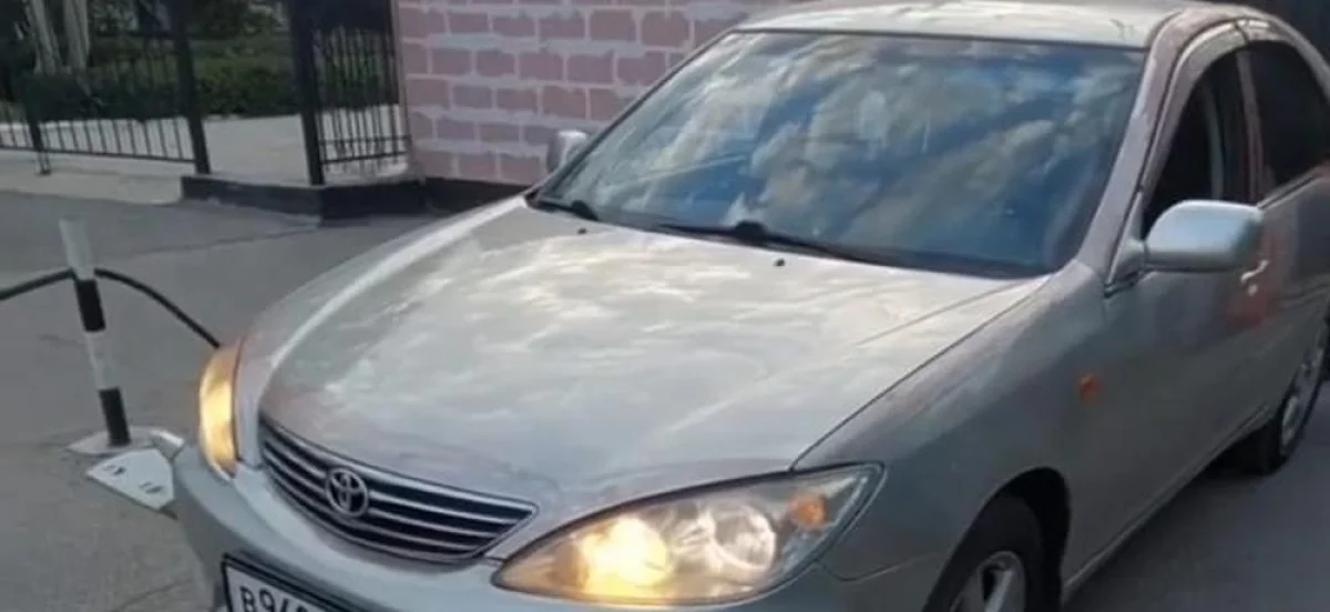 Скрин видео