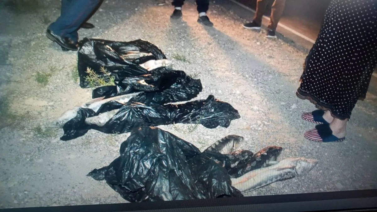 Фото пресс-службы ведомства