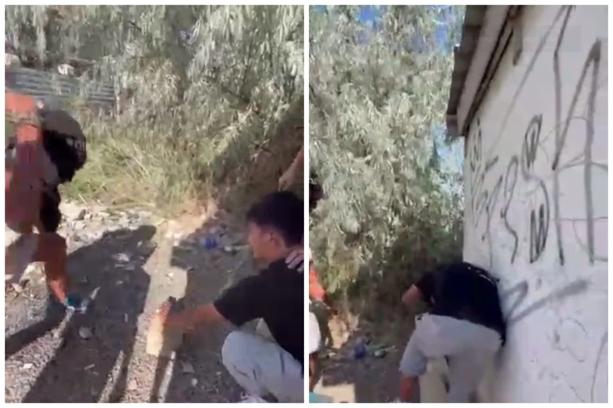 Коллаж из кадров видео