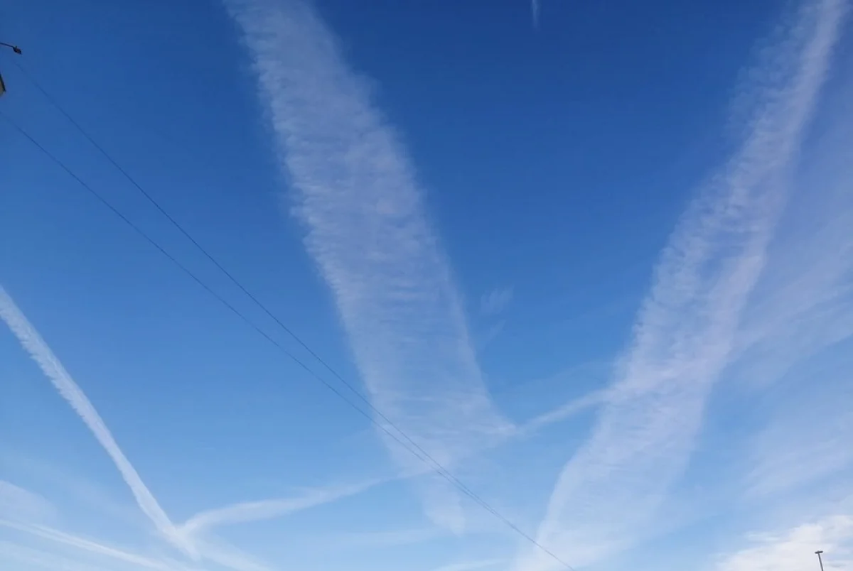 Фото пользователей Сети