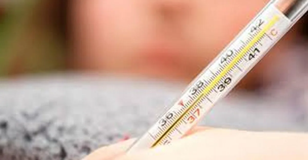 _фото из открытых источников