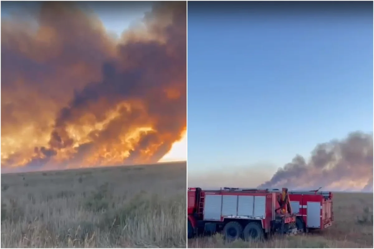 Коллаж из скриншотов видео