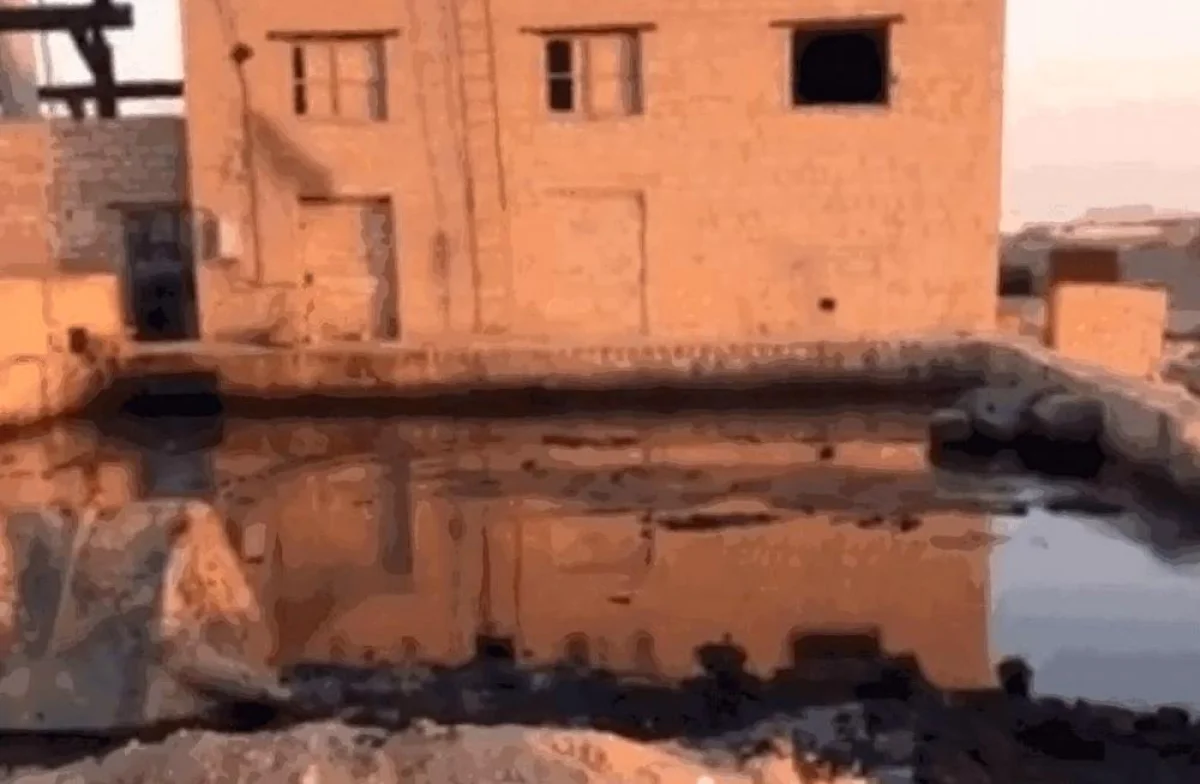 Фото департамента экологии