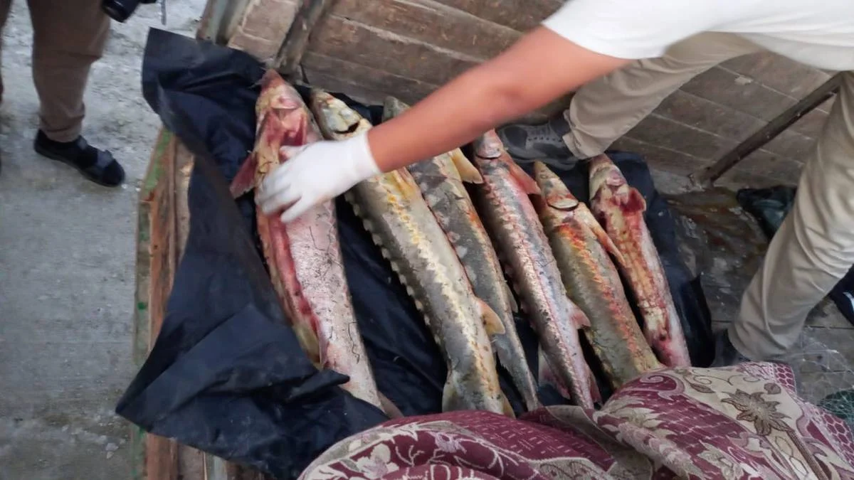 Фото ЦОК Мангистауской области