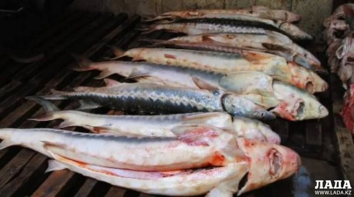 Фото из архива lada.kz