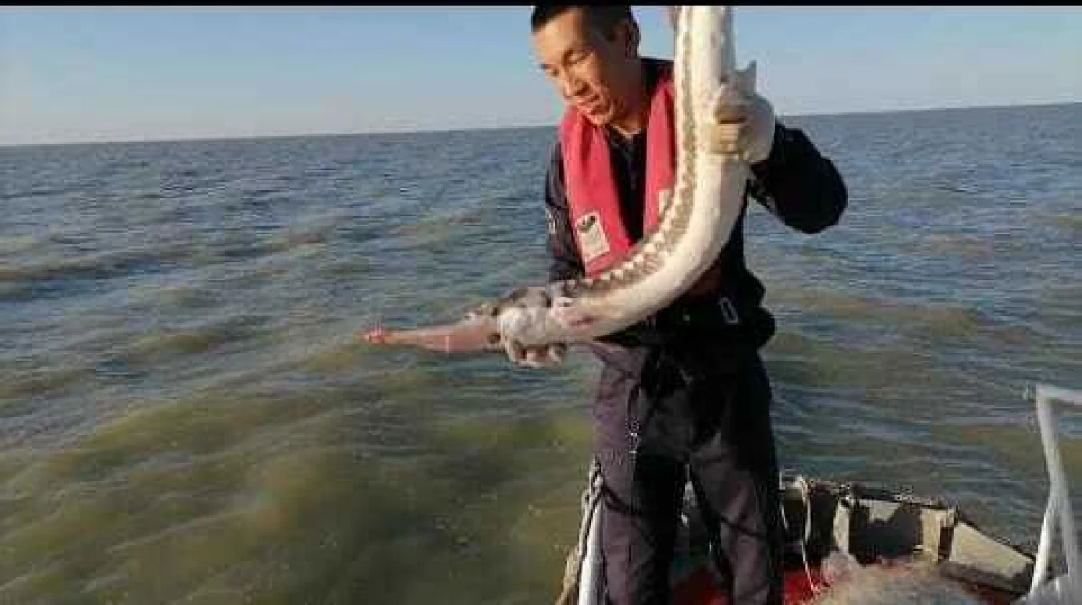 Фото пресс-центра департамента Пограничной службы КНБ РК области.