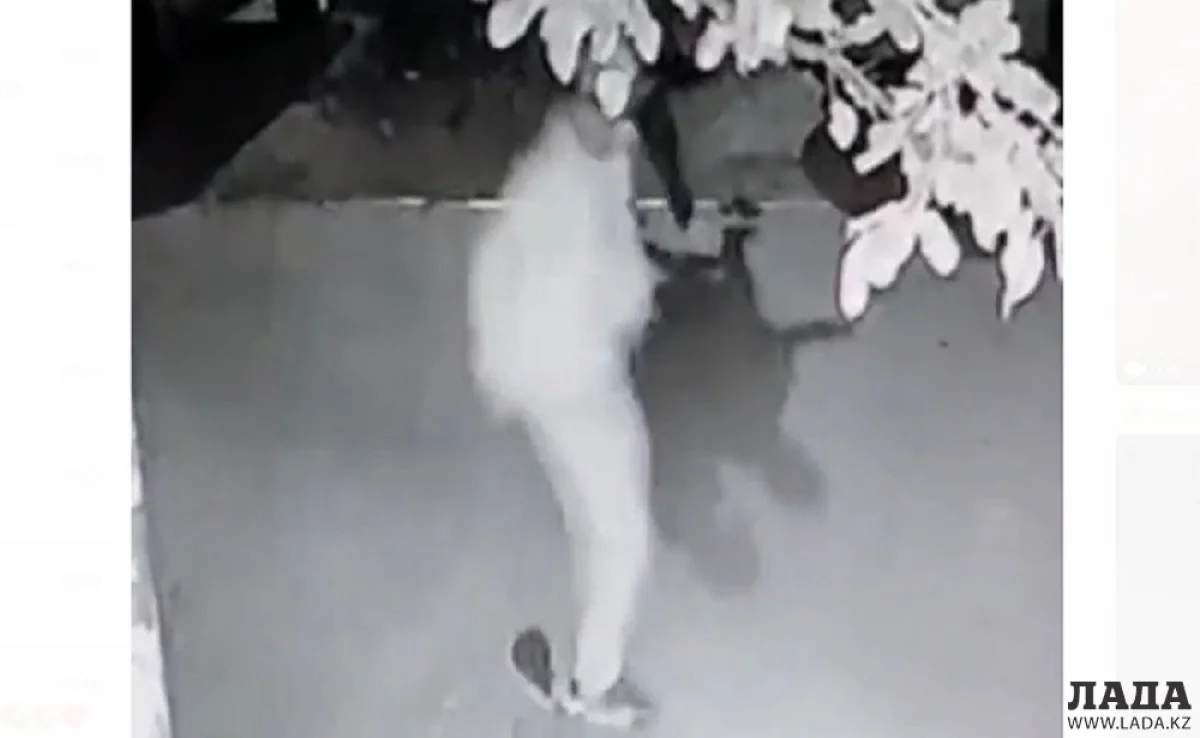 Кадр видеоролика