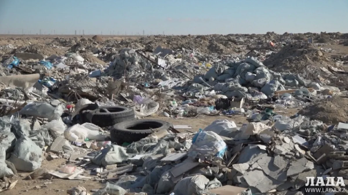 Фото предоставлено департаментом экологии