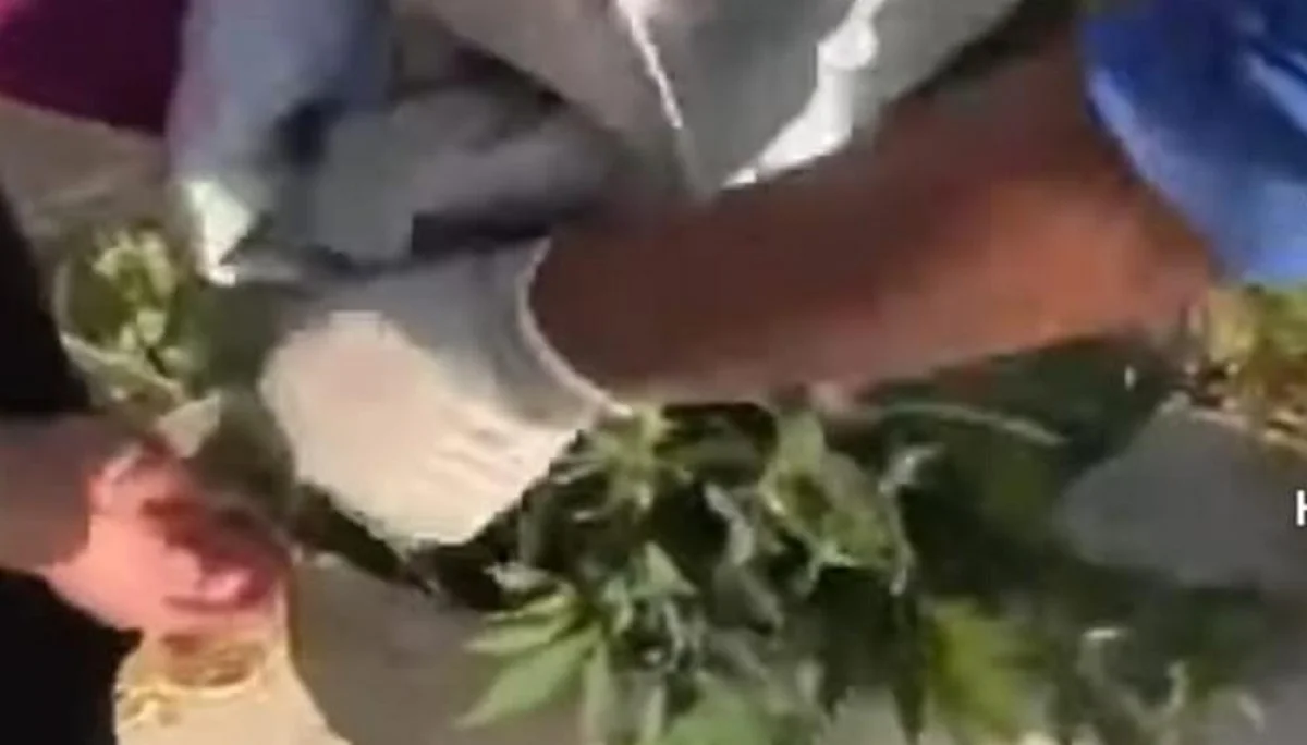 Скрин видео