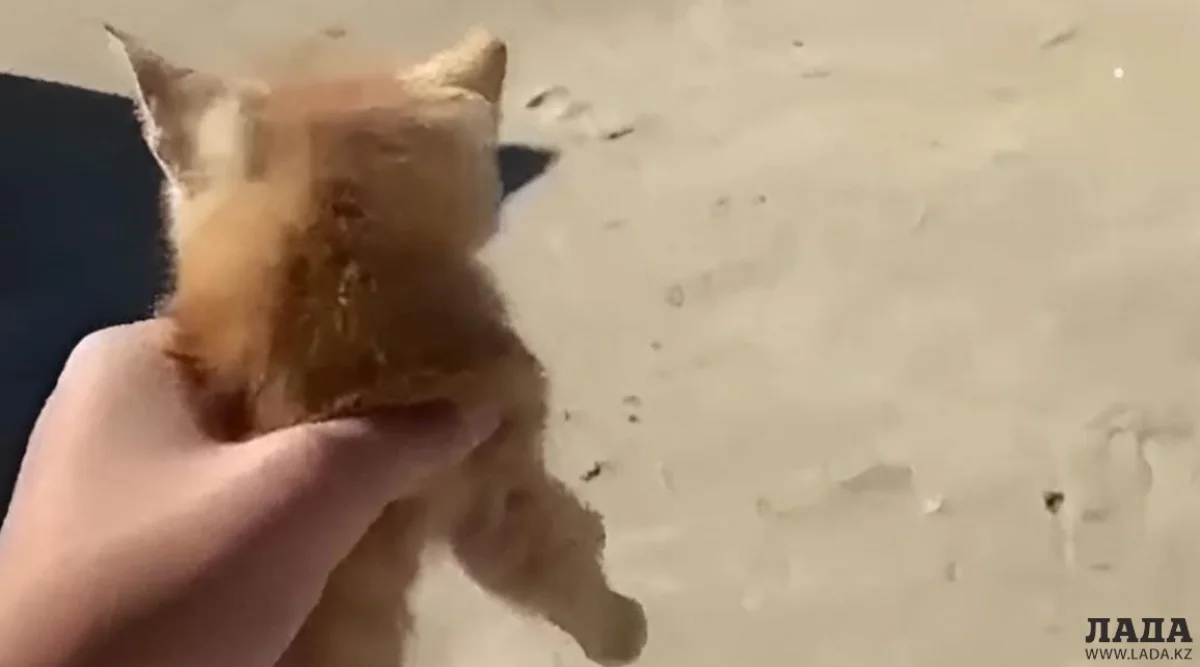 Фото из социальных сетей