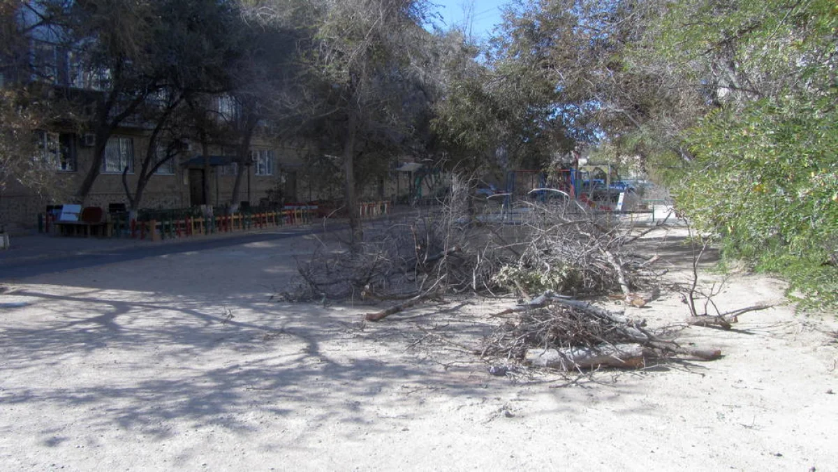 Фото жителей 11 микрорайона