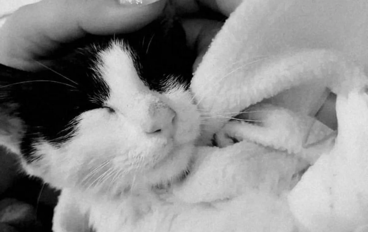 Фото со страницы в соцсети