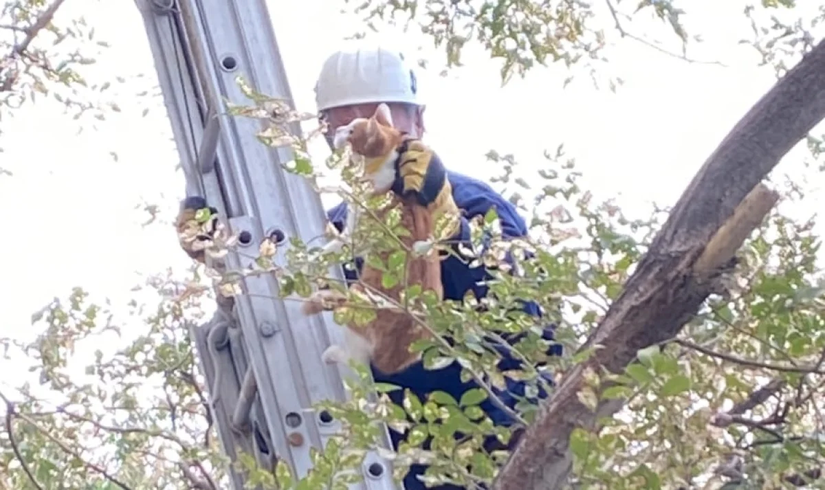 Фото жителей Актау