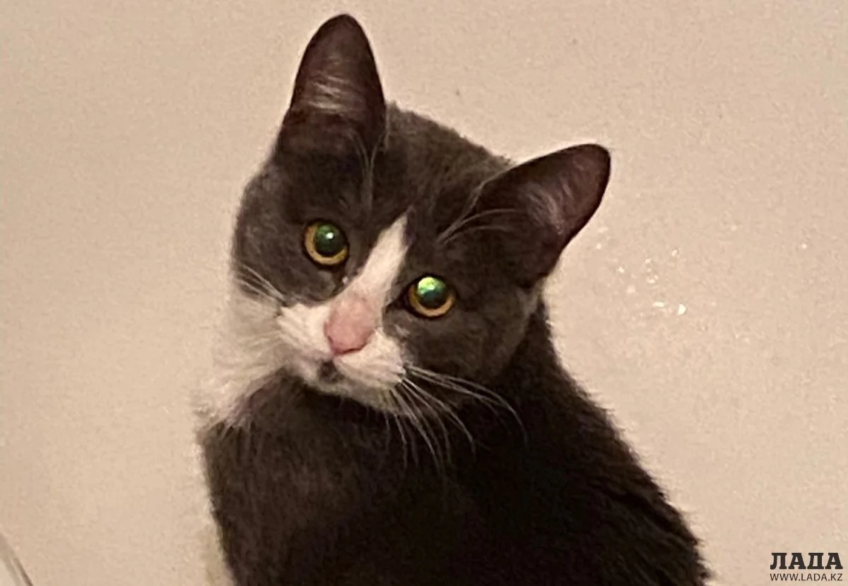 Фото пользователя Лада.kz