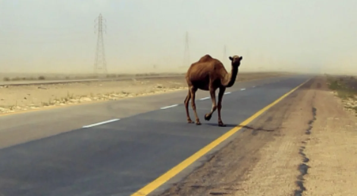 Иллюстративное фото с сайта tengrinews.kz