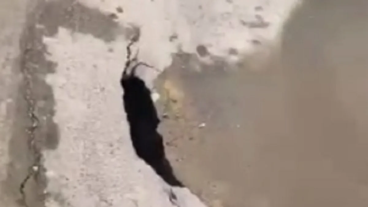 Кадр видеоролика