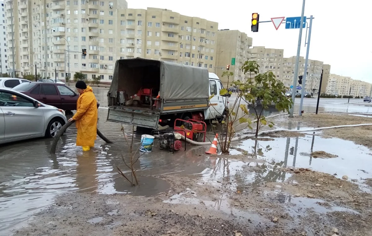 Фото пользователя Сети