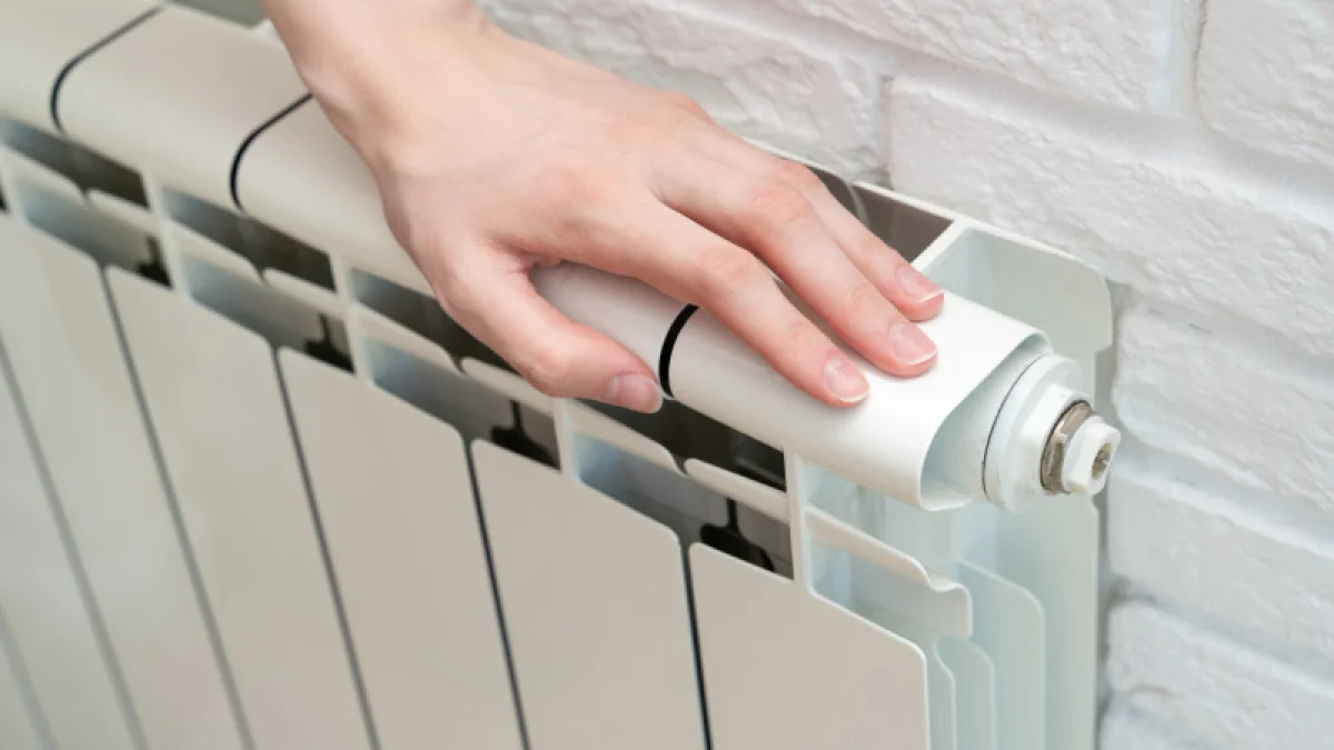 Иллюстративное фото