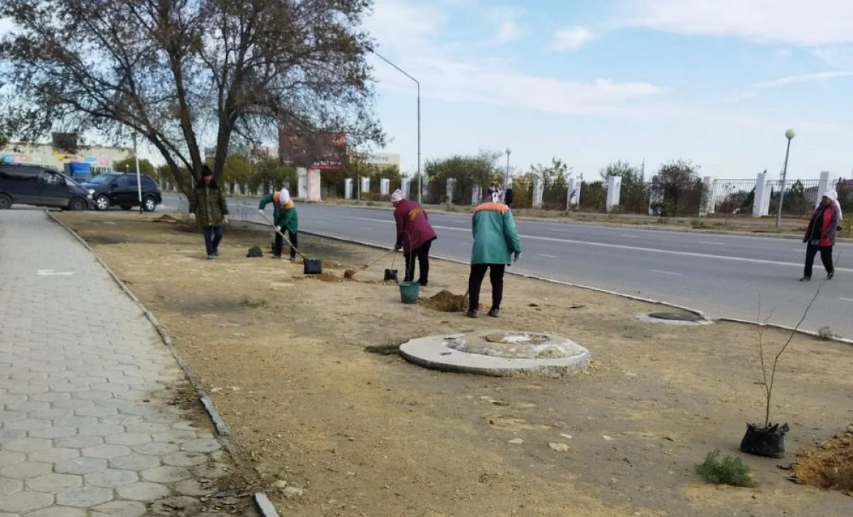 Фото жителей 11 микрорайона