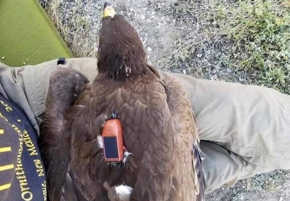 Фото со страницы «Engineer Passion» в Instagram.