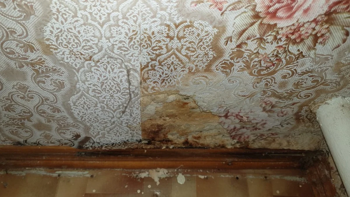 Фото предоставлено Ольгой Никитенко