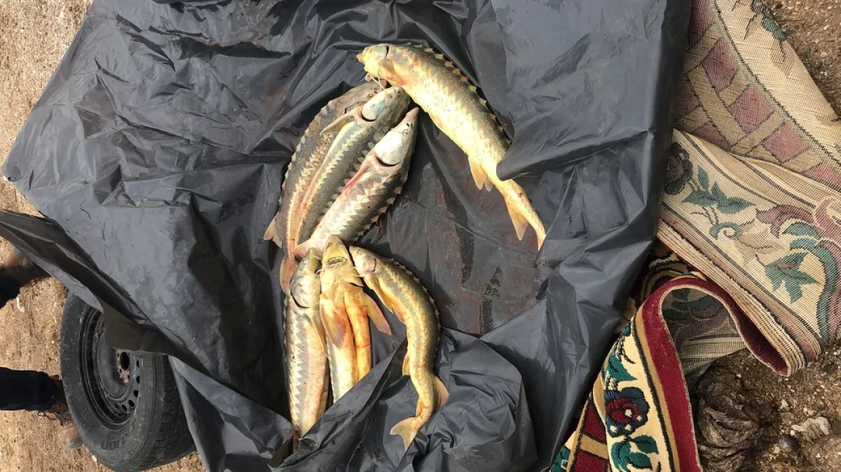 Фото пресс-службы ведомства