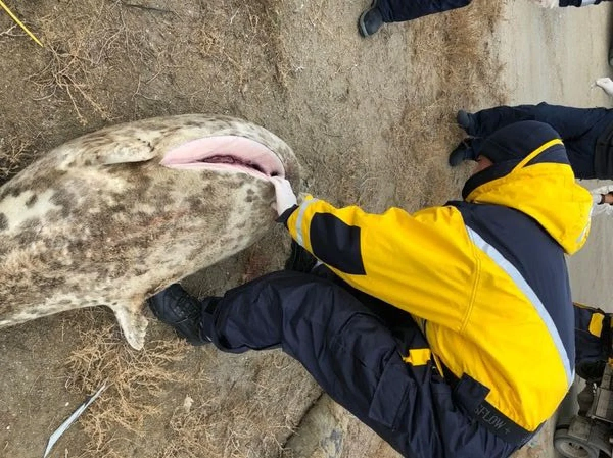 Фото пресс-службы ведомства