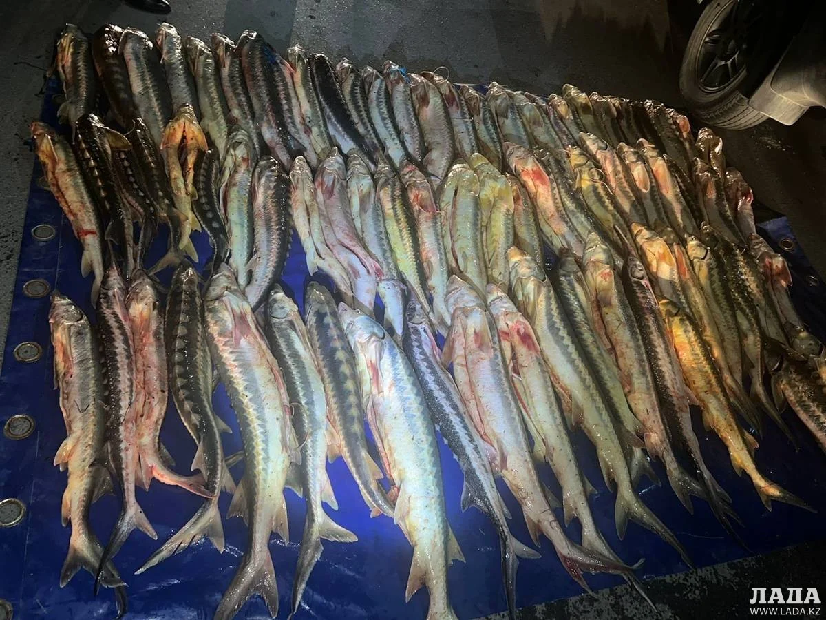 Фото пресс-службы полиции региона