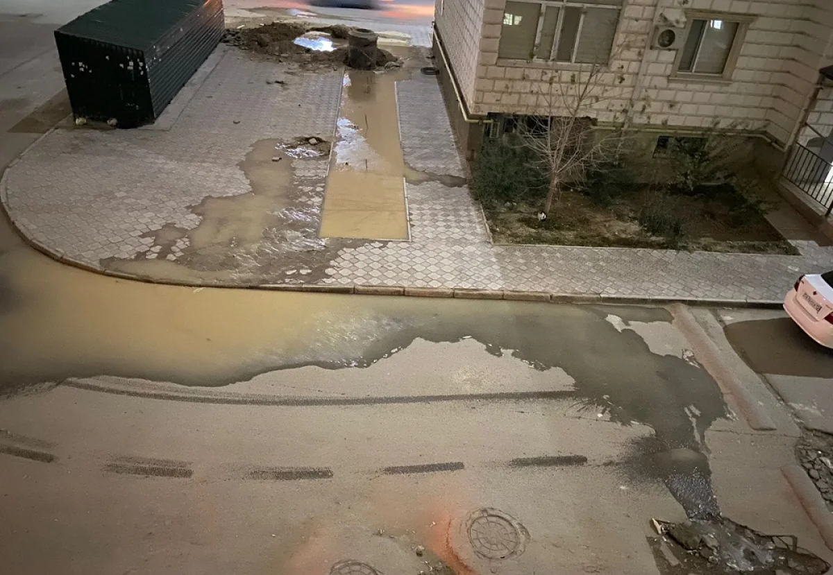 Фото предоставлено Жамилей Касымовой