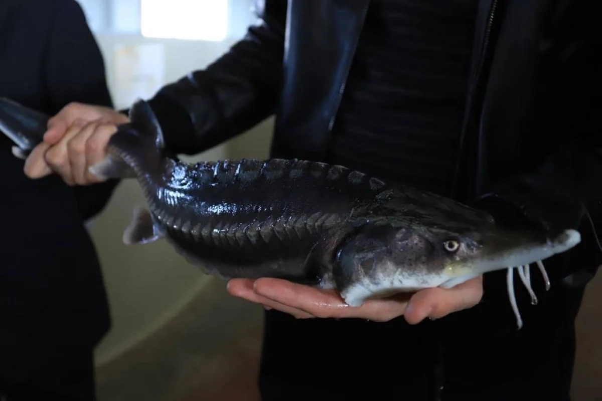 Фото ЦОК региона