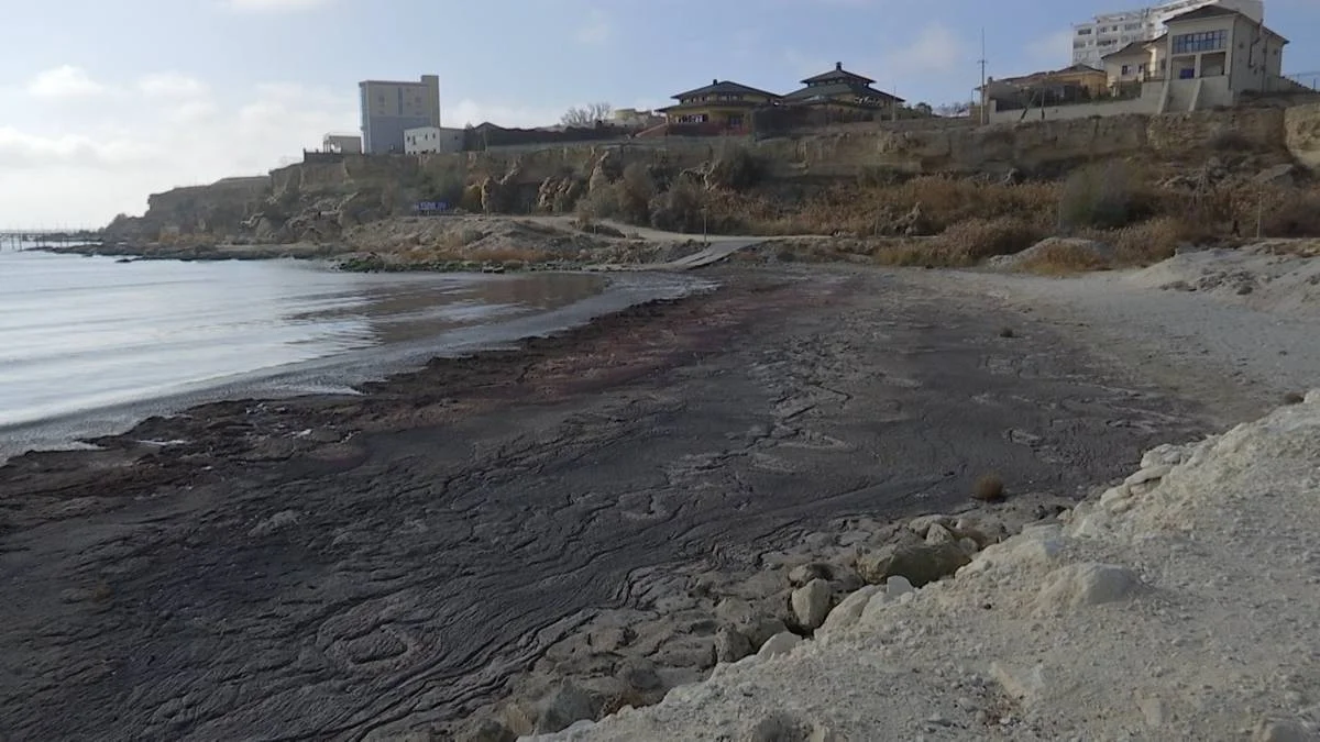 4«А» шағынаудандағы теңіз жағалауы