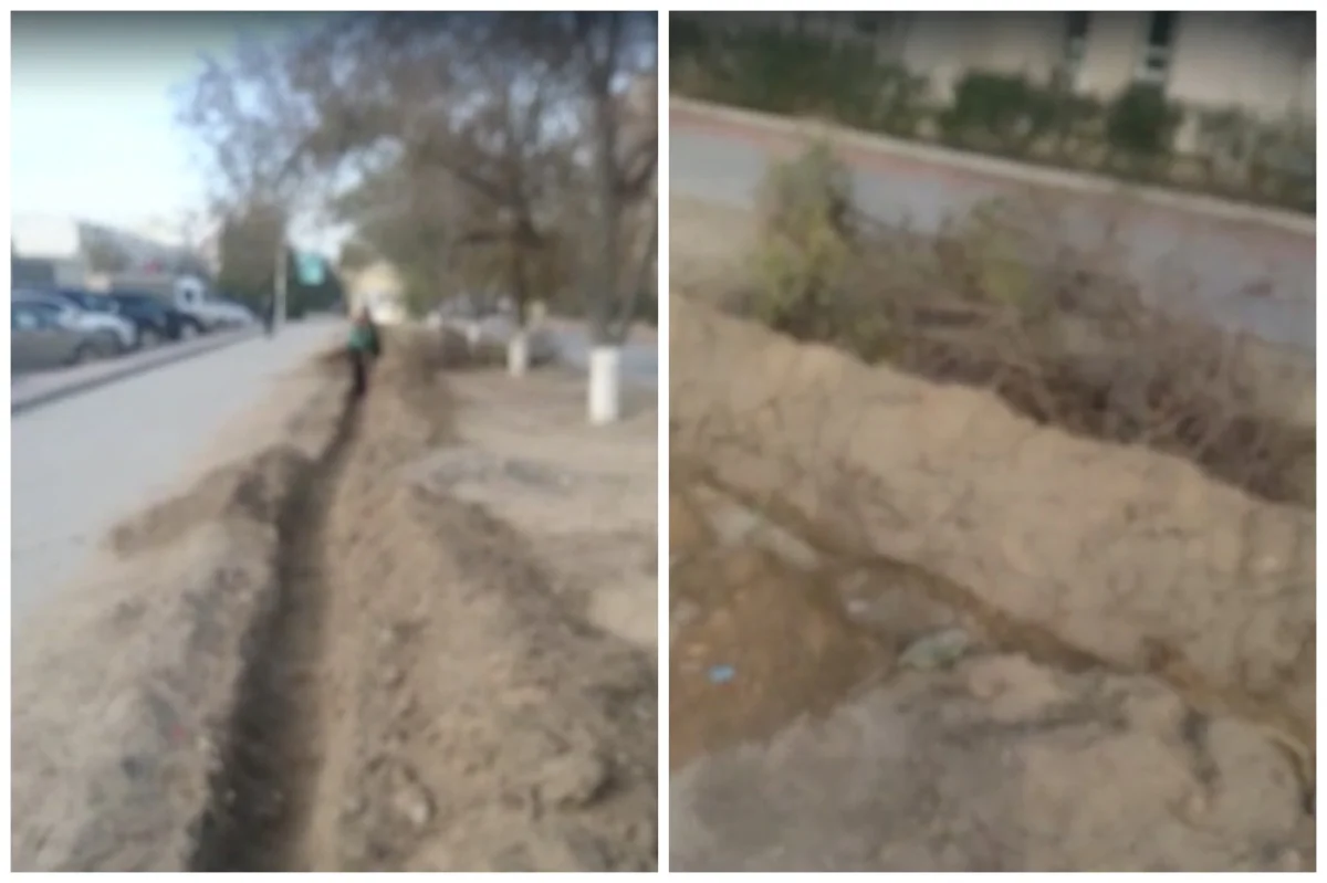 Коллаж из кадров видео