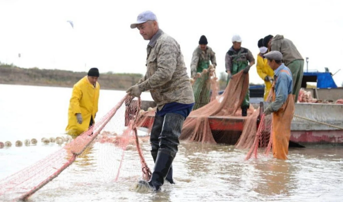 Фото предоставила пресс-служба Комитета рыбного хозяйства