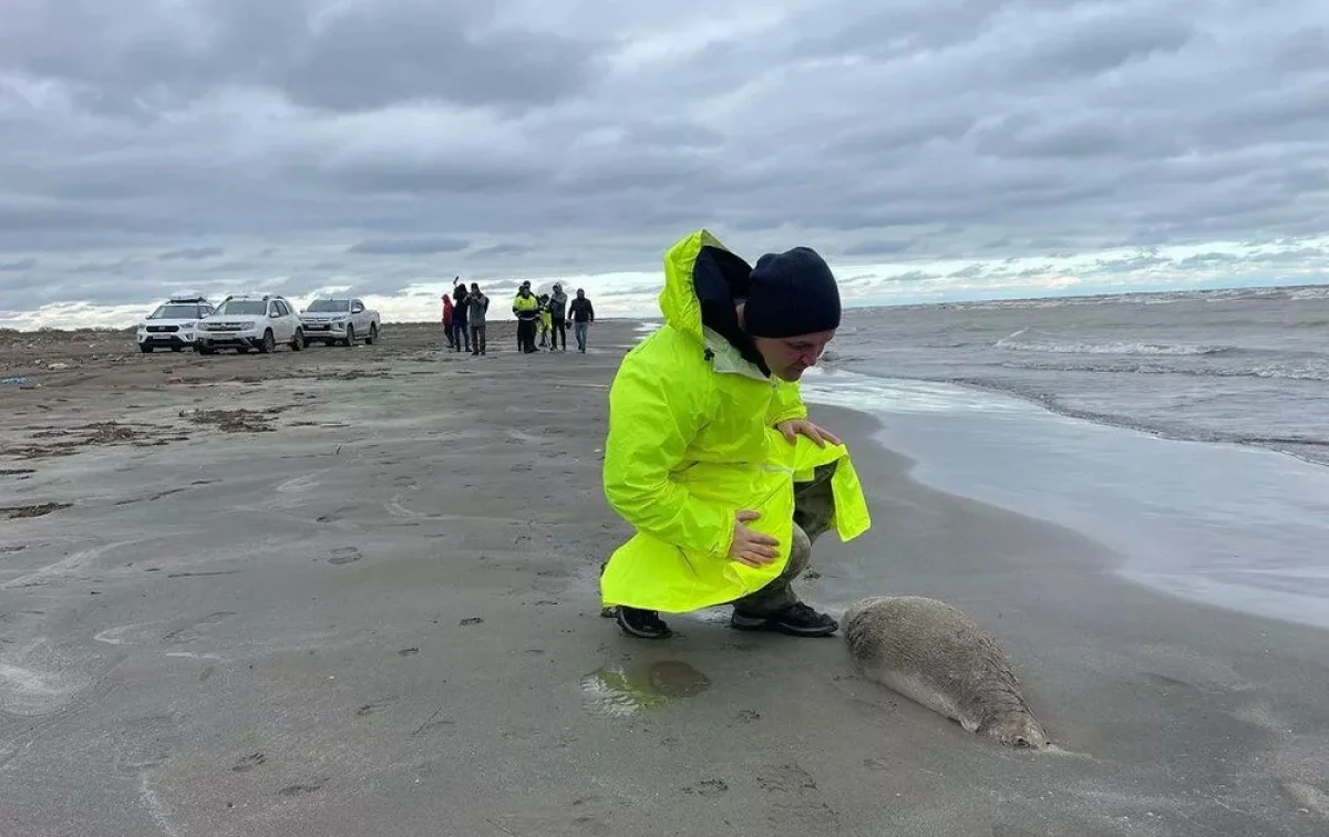 Фото «РИА Новости»