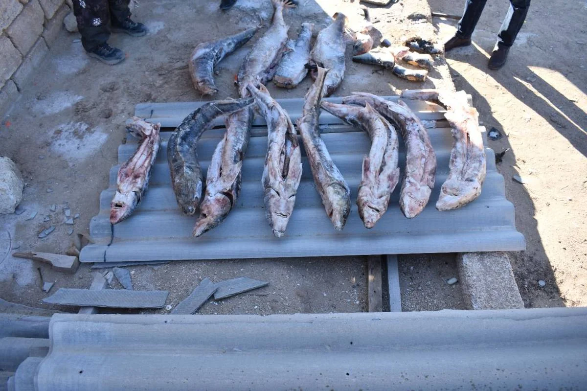 Фото пресс-службы ведомства