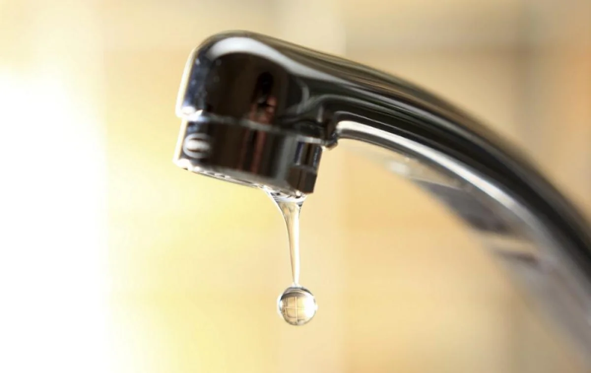 Фото из доступных источников